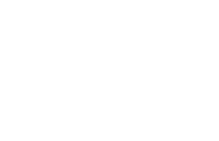 RaidenBox Manual